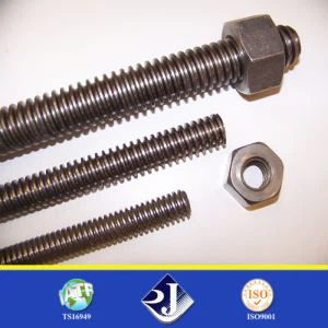 Sou tèt Rated Online Carbon en M3-M50 Grade4.8 / Grade8.8 / Grade10.9 / Grade12.9 DIN975 Threaded branch bwa
